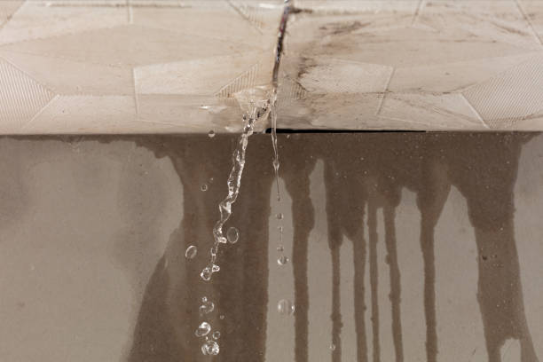 Professional Water Damage Inspection technician working in Alvord, TX